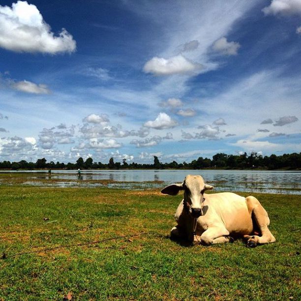 2015-09-05_1441456368