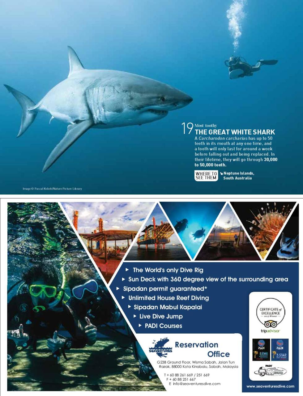 a0b0093a4c3c5e2f07195a2fb47b5460-page-008