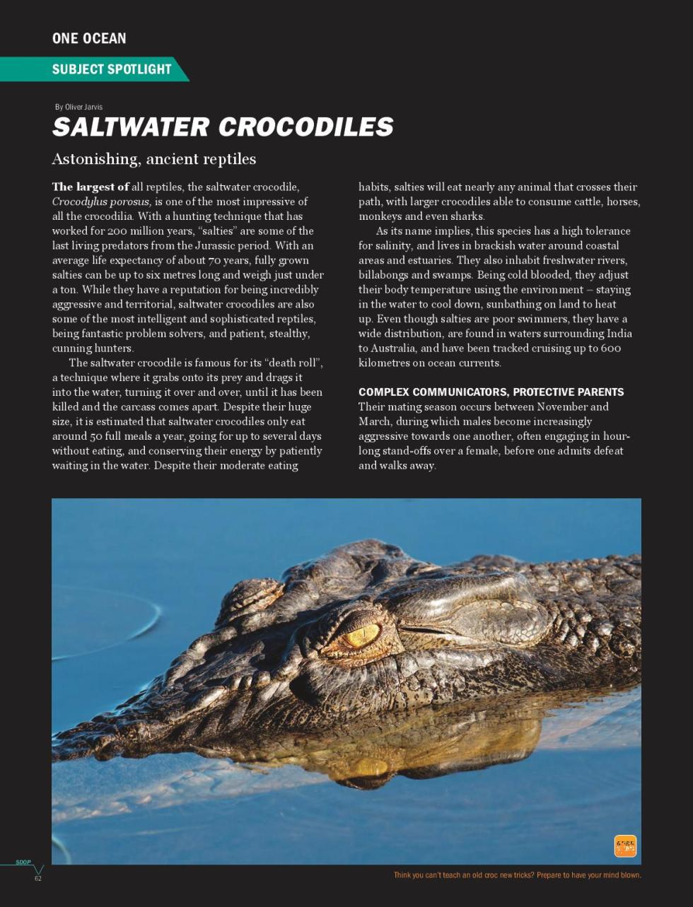 c552699ab9f099d503fbfe438ca19441-page-001