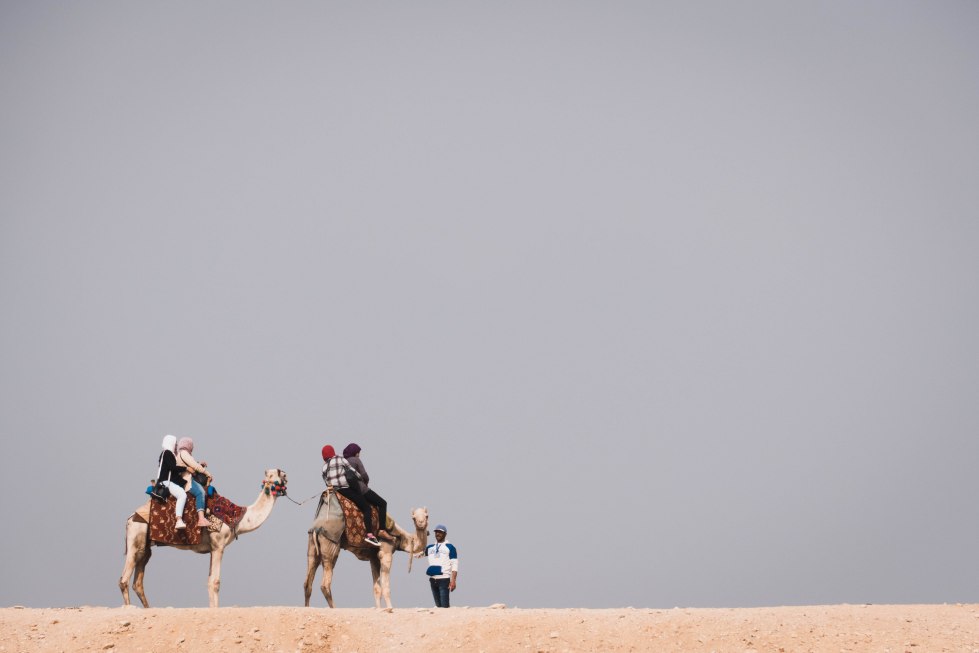 cameltrainer (1 of 1)