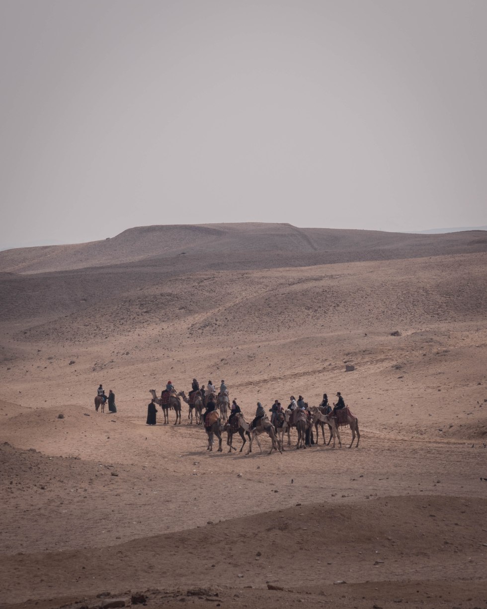 instacameldesert2 (1 of 1)